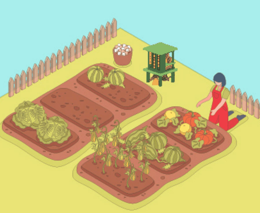 A thriving garden supported by the Insects Hotel system